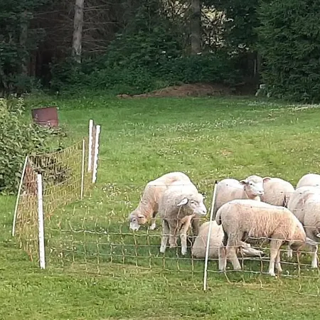 شقة Schoene Aussicht Am Rothaarsteig *