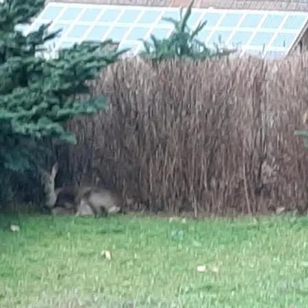 شقة Schoene Aussicht Am Rothaarsteig باد لاسفه