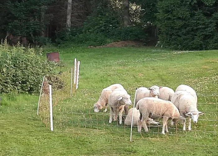 Lejlighed Schoene Aussicht Am Rothaarsteig *